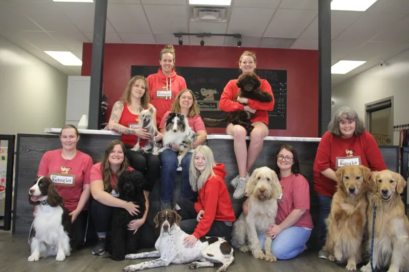 The Barking Lot - Cat grooming in Des Moines