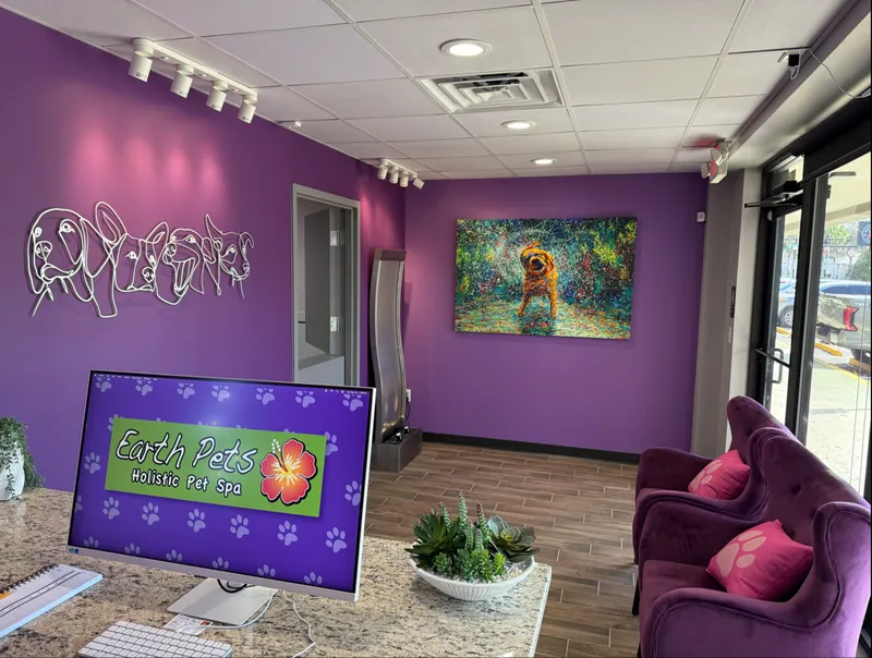 Earth Pets Holistic Pet Spa - Professional cat grooming in Jacksonville, FL