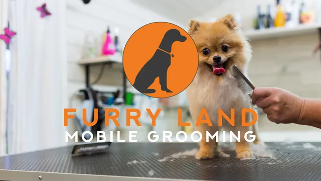 Furry Land Mobile Pet Grooming- Sherman/North Dallas - Cat grooming in Dallas