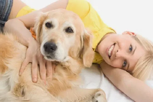 Happy Scrappy Mobile Pet Grooming - Cat grooming in San Antonio