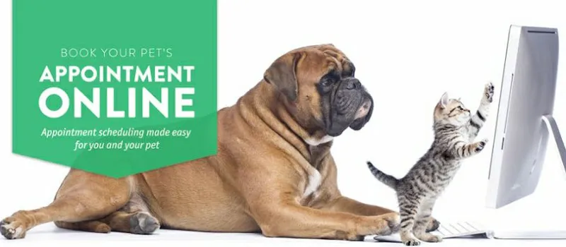 Spiffy Pets - Cat grooming in Machesney Park