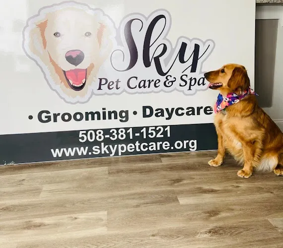 Sky Pet Care & Spa - Cat grooming in Milford