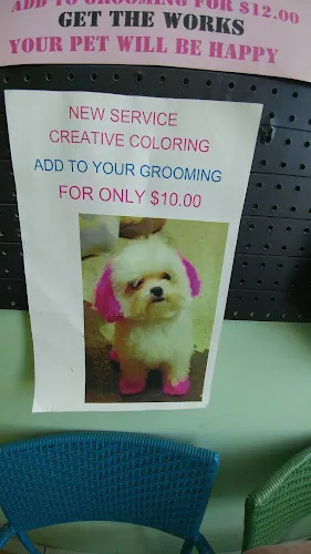 Poochie Barber - Mobile cat grooming in Oak Lawn, IL