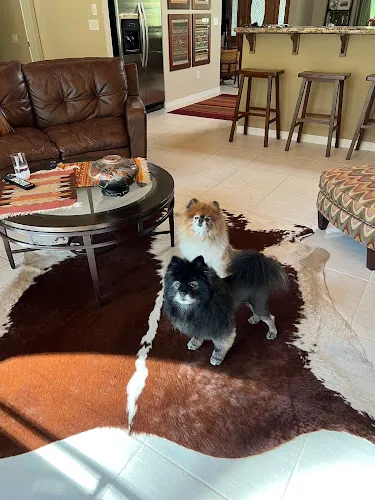 Le Pooch Grooming & Boutique - Cat grooming in Morgan Hill