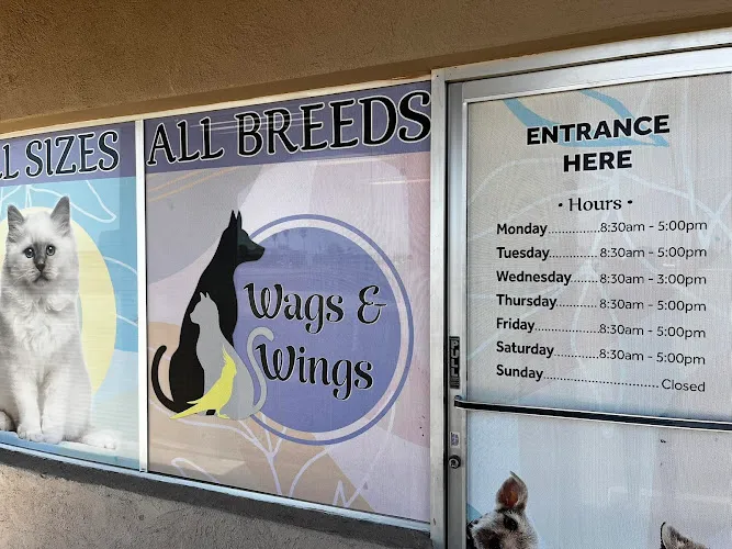 Wags & Wings Pet Grooming - Cat grooming in Peoria