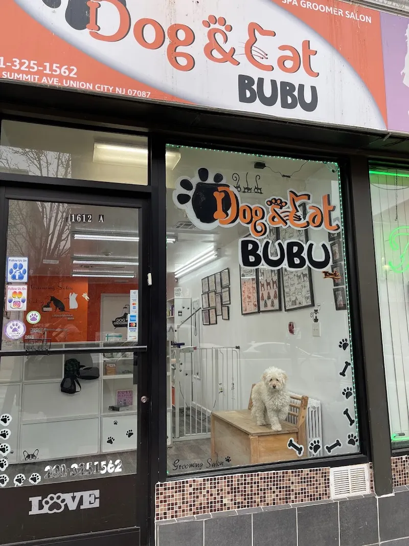 Dog & Cat Bubu pet grooming - Cat grooming in Union City