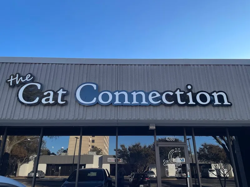 The Cat Connection - Cat grooming in Dallas