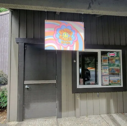 Flower Power Pet Spa - Mobile cat grooming in Gleneden Beach, OR