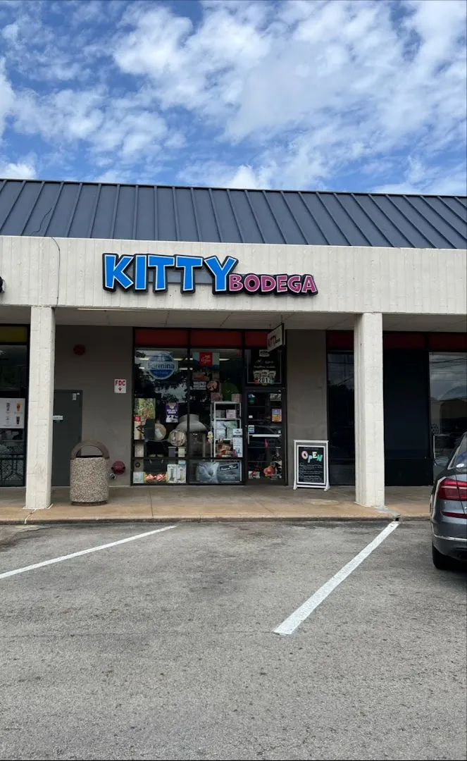 The Kitty Bodega - Mobile cat grooming in Houston, TX